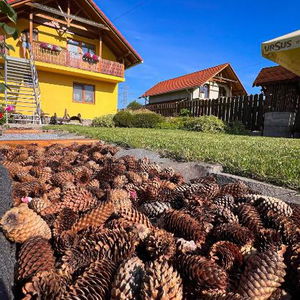 Hotel Casa Ferenczi Vendégház cazare Sovata