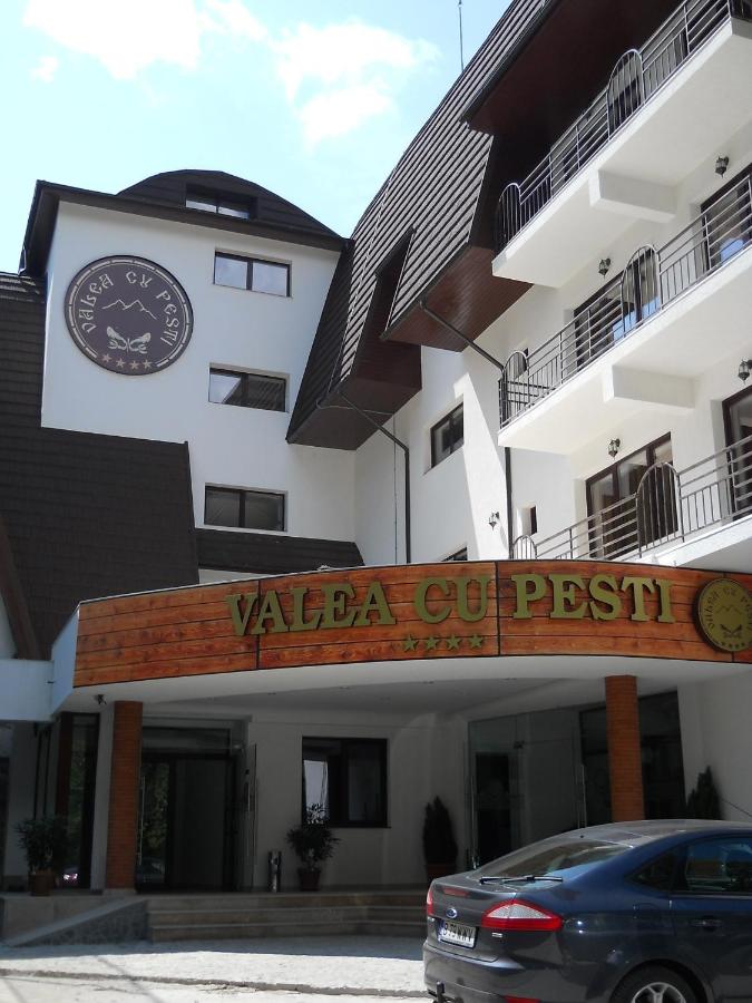 Valea Cu Pesti