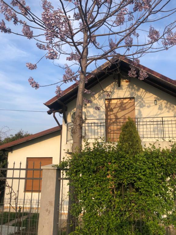 Casa Andrei