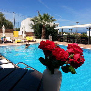 Hotel Ela Mesa Luxury Apartments cazare Aegina