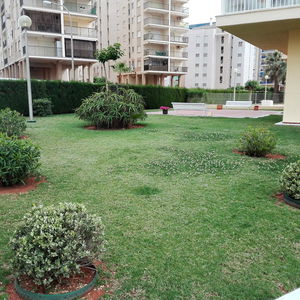 Hotel Playasol Ii By Apartamentos 3000 cazare Benicassim