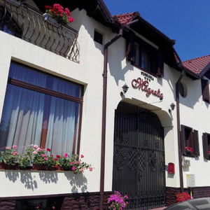 Hotel Pensiunea Magnolia cazare Sibiu