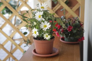 Hotel B&B Etna Sea House cazare Catania