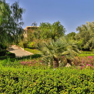 Hotel Essaouira Lodge cazare Essaouira