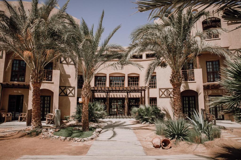 Hotel Cook's Club El Gouna