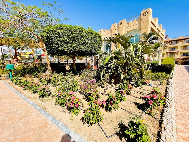 Shams Safaga Resort