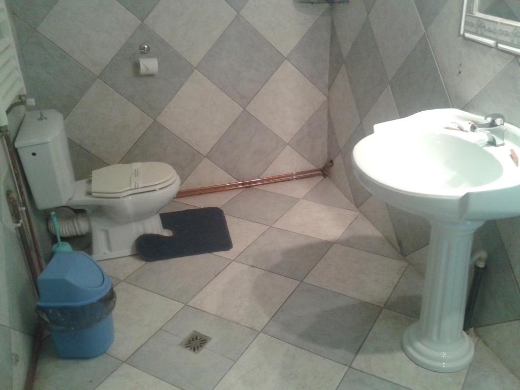 Pensiunea Vila Dana