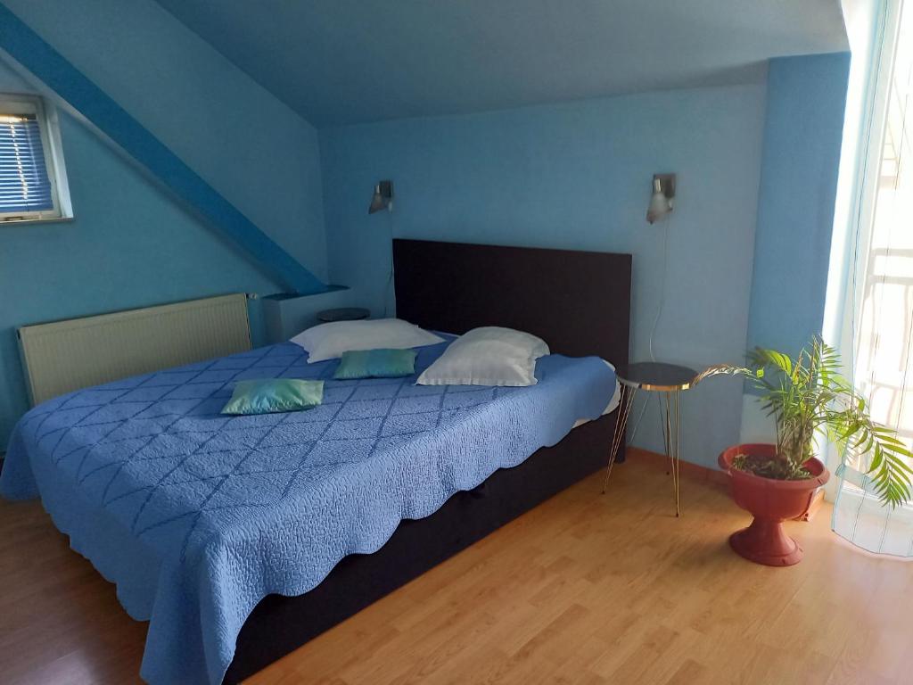 Pensiunea Vila Dana