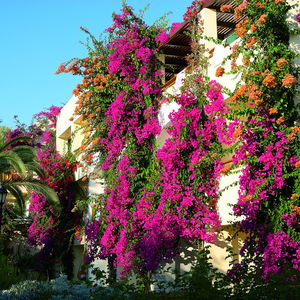 Hotel Creta Royal cazare Skaleta