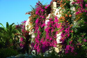 Hotel Creta Royal cazare Skaleta
