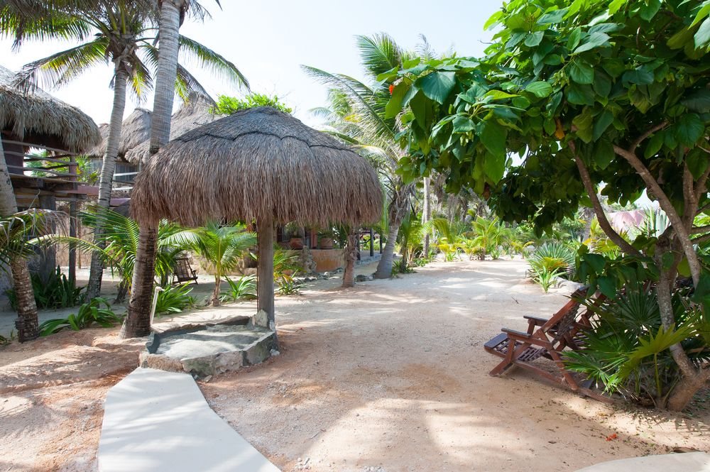 Zamas Hotel