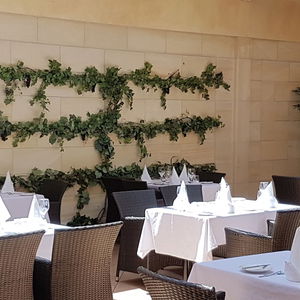 Hotel Plymouth International cazare New Plymouth