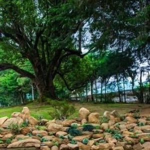 Hotel Ferncliff Bungalow cazare Nuwara Eliya