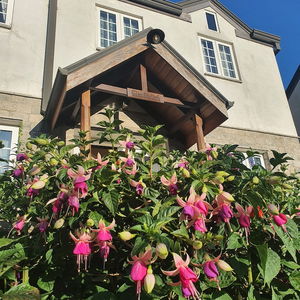 Hotel Lakeside Cottages cazare Nuwara Eliya