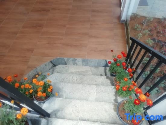 Hotel Tea Mount Forest