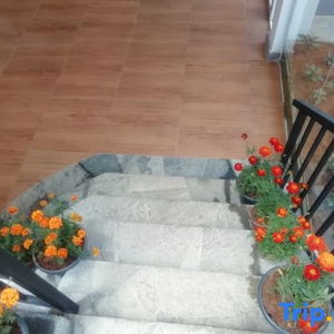 Hotel Tea Mount Forest cazare Nuwara Eliya