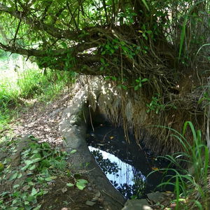 Hotel Deer Point Hotel Kandy cazare Kandy