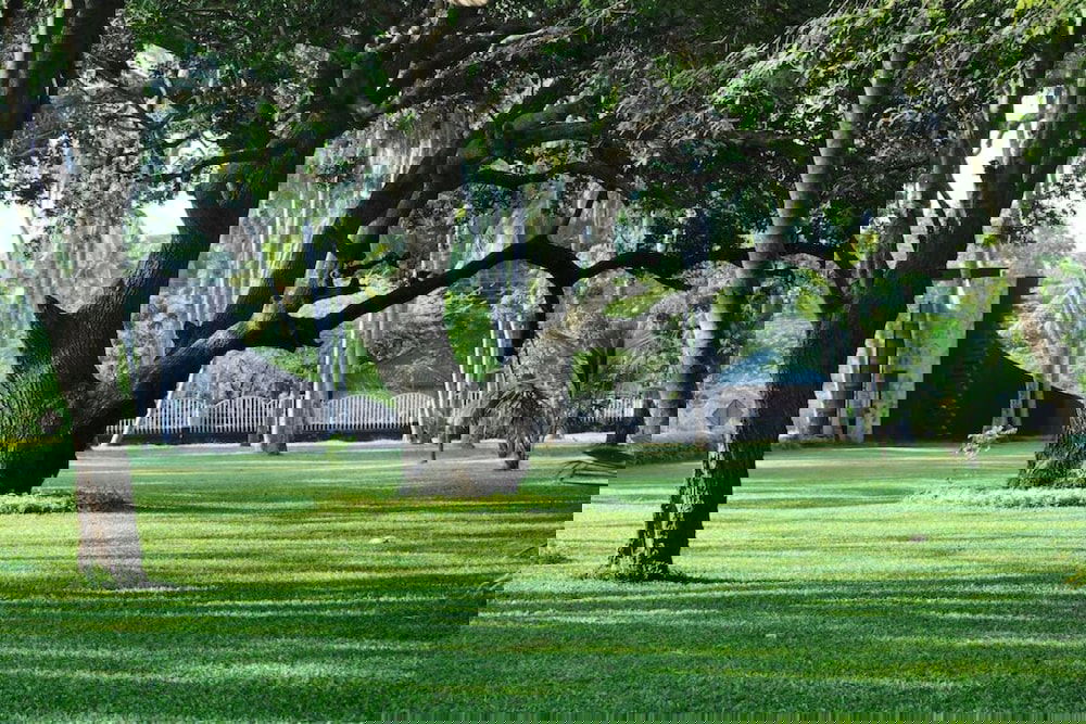 Hotel Peacock Beach Resort & Spa