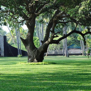 Hotel Peacock Beach Resort & Spa cazare Hambantota