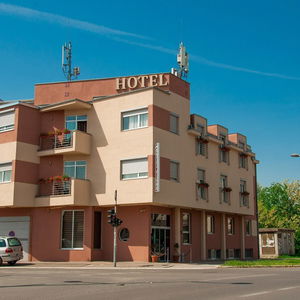 Hotel Vila Vigor cazare Novi Sad