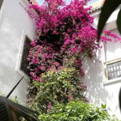 Hotel Riad Swaka cazare Marrakesh