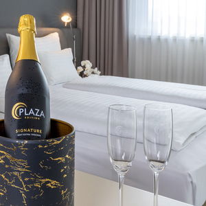 Hotel Plaza Inn Graz cazare Graz