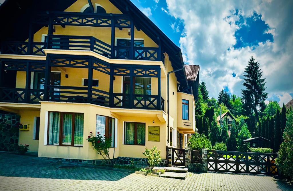 Hotel Pensiunea Amnesia