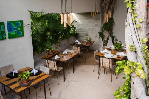 Orchid House Tulum