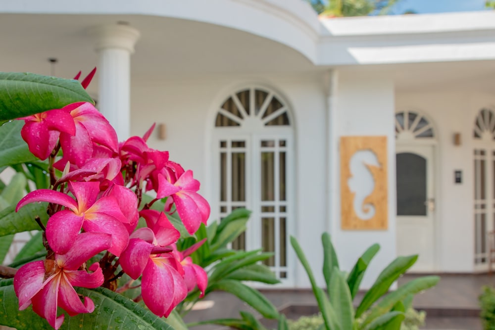 Sea Horse Hotel & Spa