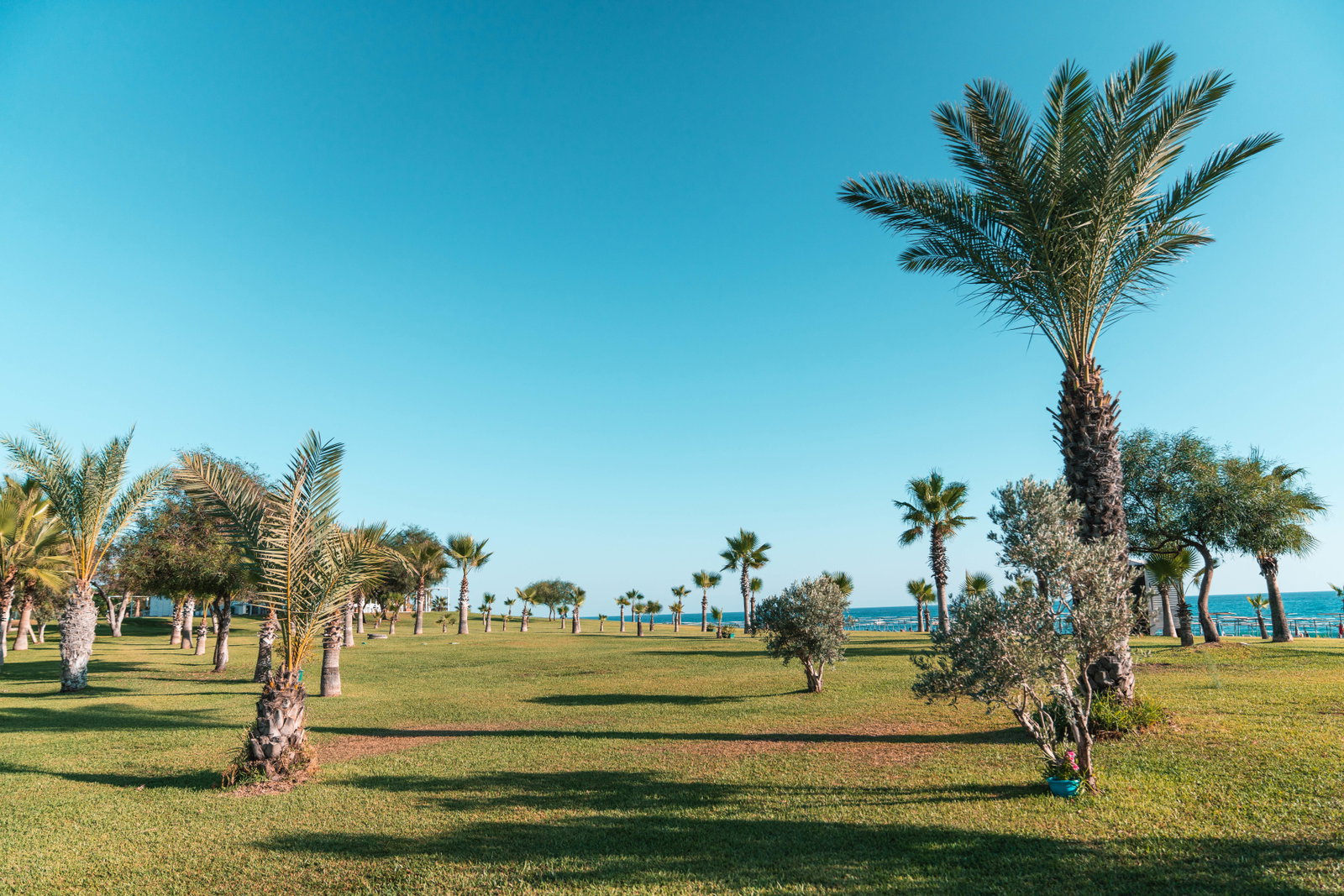 dal travel Sural Garden