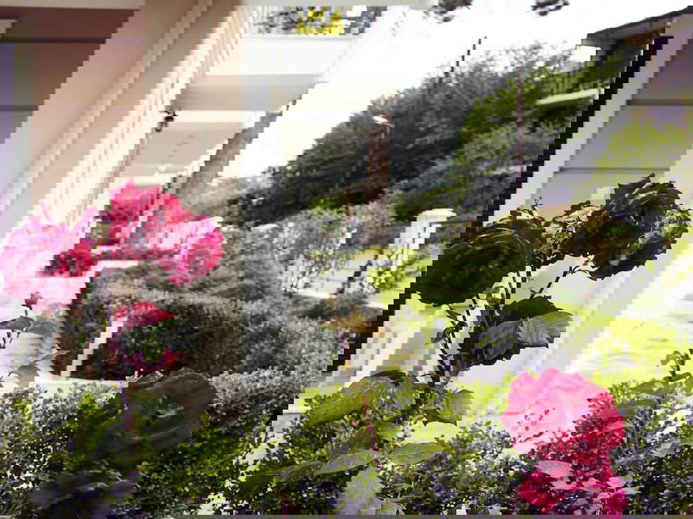 Hotel Skiathos Somnia