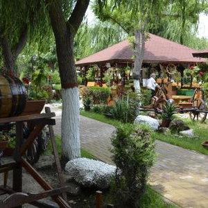 Hotel Hotel Poienita cazare Costinesti