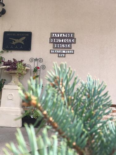 Hotel Hotel Aviator Boutique Otopeni