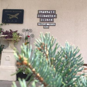 Hotel Hotel Aviator Boutique Otopeni cazare Otopeni