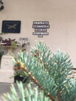 Hotel Hotel Aviator Boutique Otopeni cazare Otopeni
