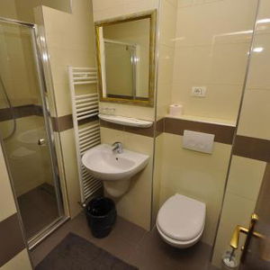 Hotel Hotel Cerbul cazare Borsa