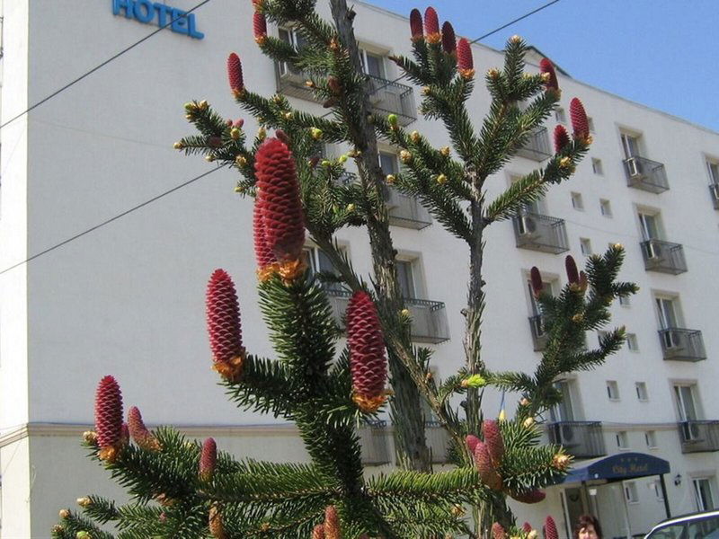Hotel City Hotel Bucharest