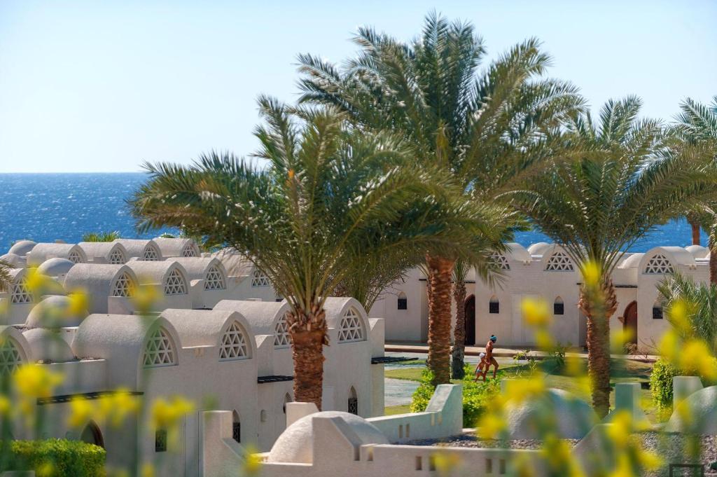 dal travel Reef Oasis Beach Resort