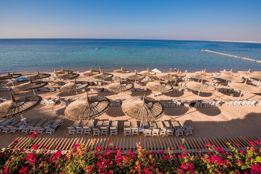 dal travel Reef Oasis Beach Resort