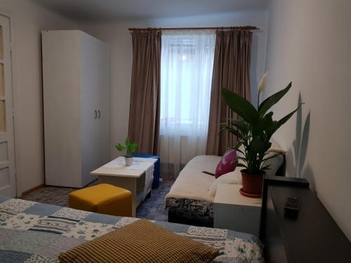 Hotel Apartament Simon Brasov