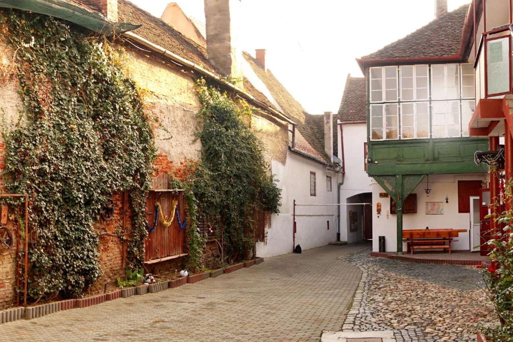 Guesthouse Casa Baciu