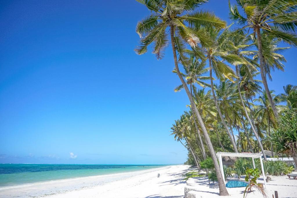 Indigo Beach Zanzibar