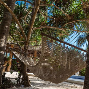 Sejur Zanzibar Sunrise At Bandas vacanta Zanzibar