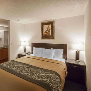 Hotel Comfort Inn & Suites Downtown Edmonton cazare Edmonton