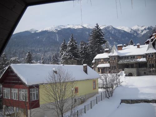 Silvia Apart Sinaia Hotel