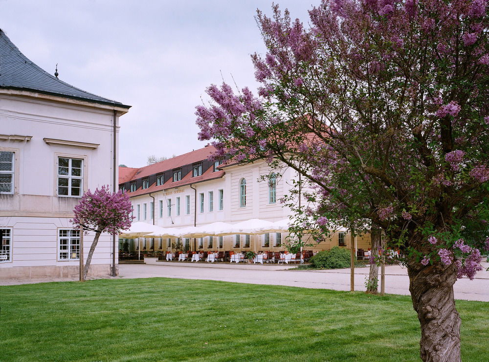 Hotel Schloss Hotel Dresden-Pillnitz
