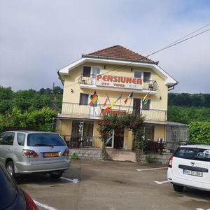 Hotel Pensiunea Vidra cazare Baile Felix