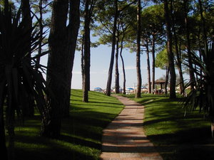 Hotel Beau Rivage Pineta cazare Lido di Jesolo