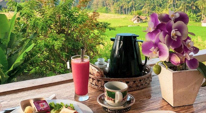 Hotel Raditya Villa Ubud