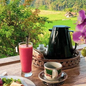 Hotel Raditya Villa Ubud cazare Ubud